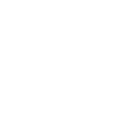 Michael Reiter Logo